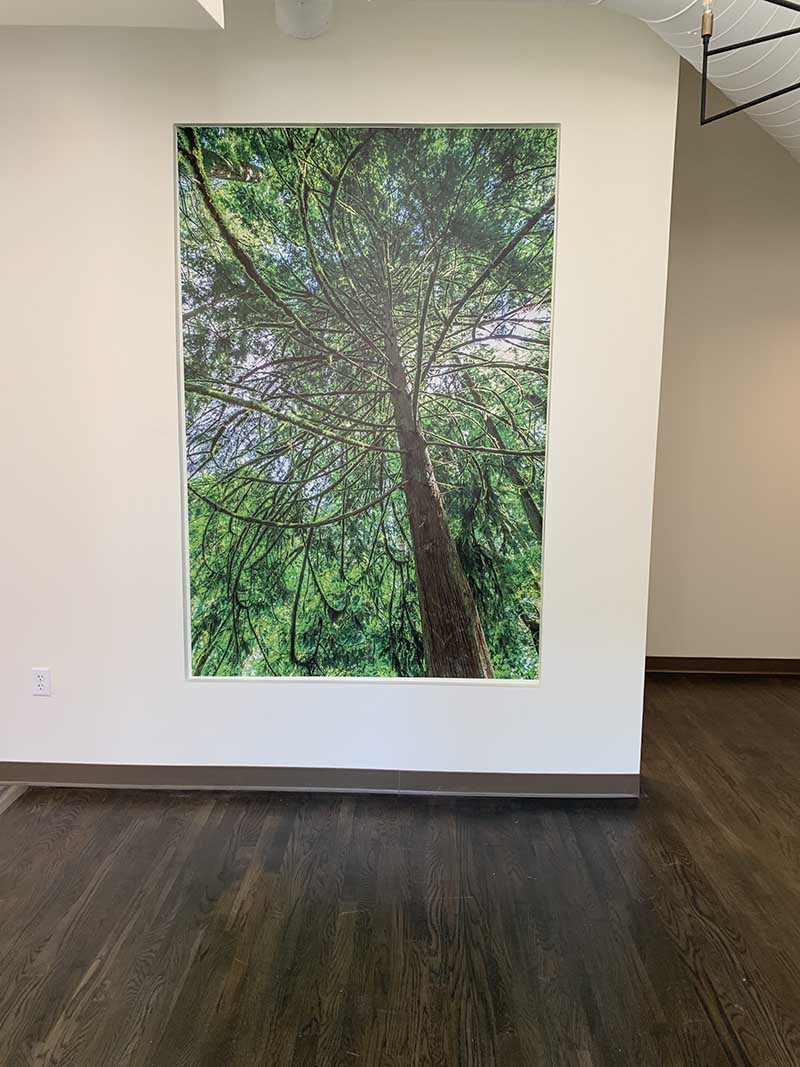 wall graphic of a tree